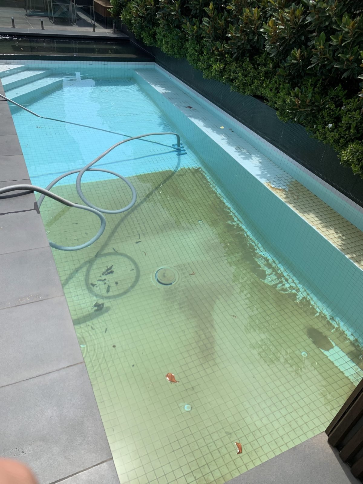 Clear pool after rescue treatment — water recovery complete