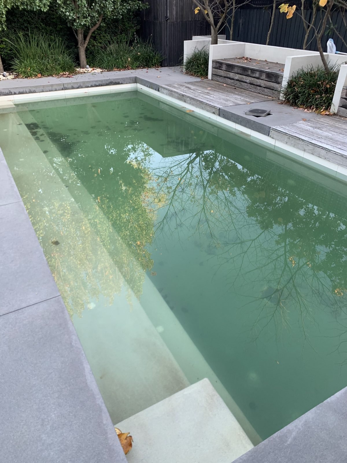 Before: cloudy or green water